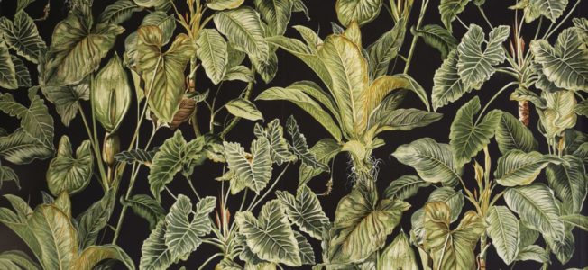 „Oifach so!“ Live Konzert